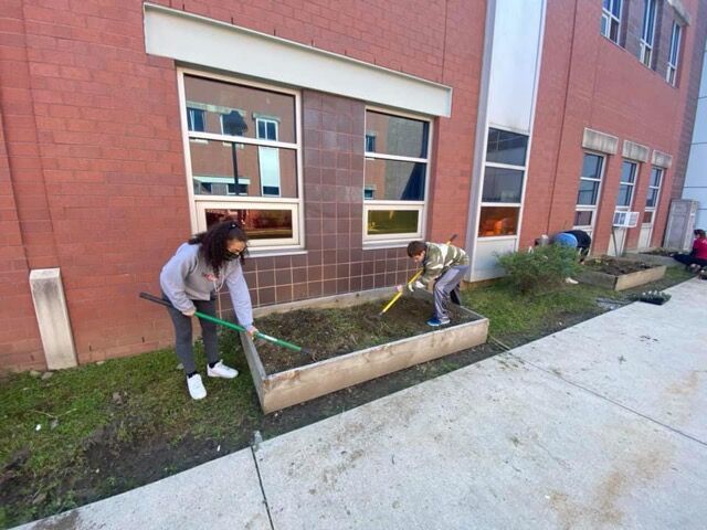 Planting 3